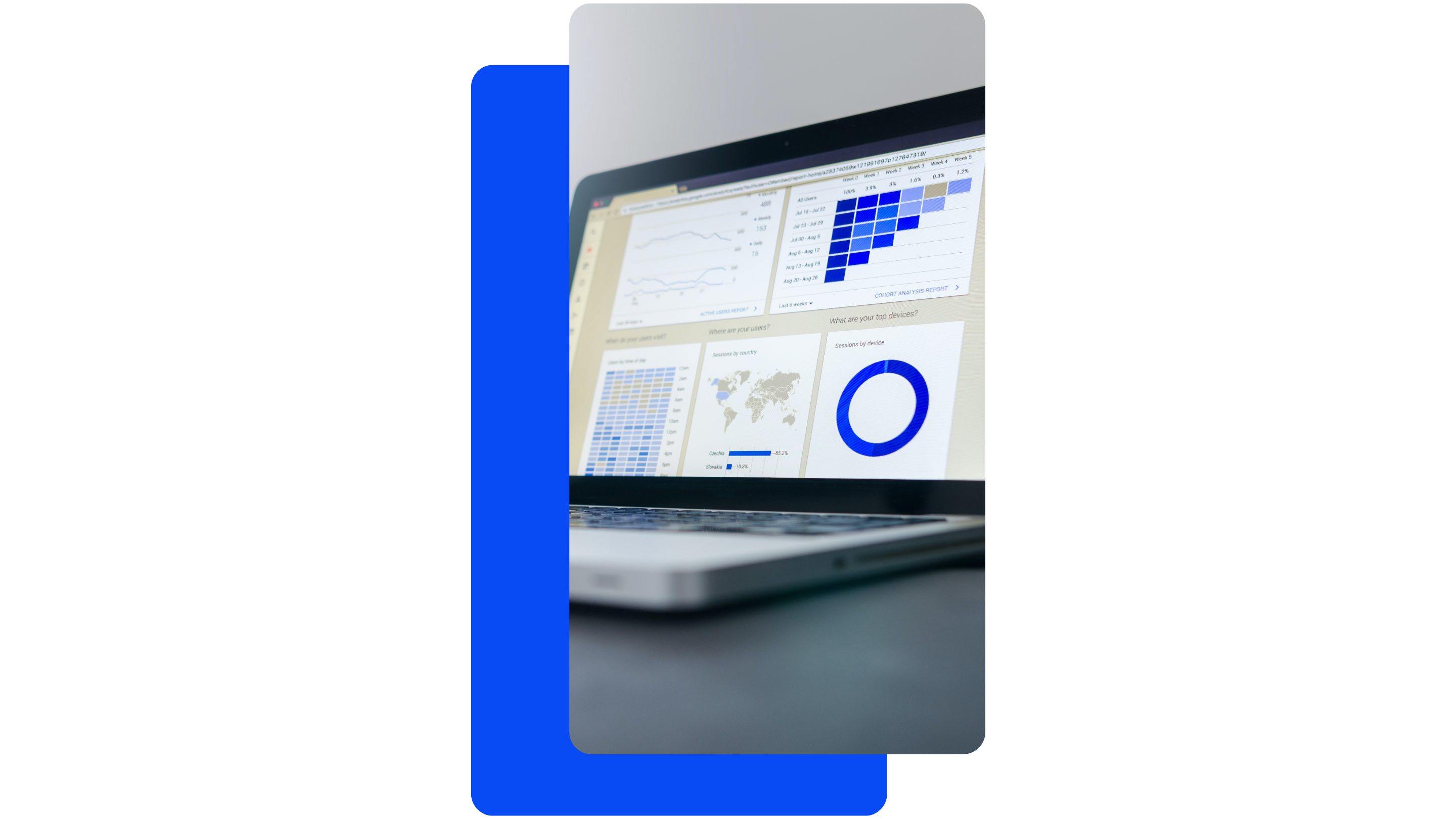 Untitled design (17)